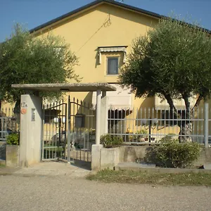 Solidea Veronella